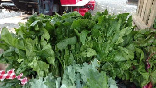 Produce Market «Douglass Loop Farmers Market», reviews and photos, 2005 Douglass Blvd, Louisville, KY 40205, USA