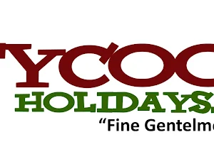 Tycoon Holidays image