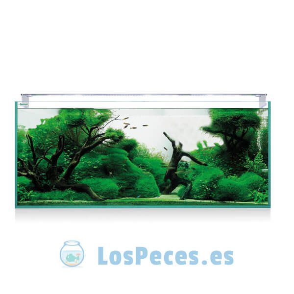 LosPeces.es - Tienda de Acuarios en Pontevedra