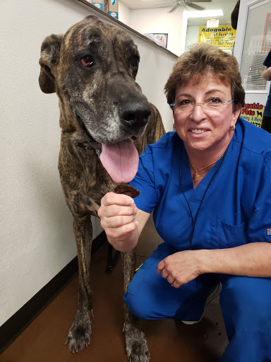 Pet Supply Store «Adogable PET SERVICES», reviews and photos, 4884 Sun City Center Blvd, Sun City Center, FL 33573, USA