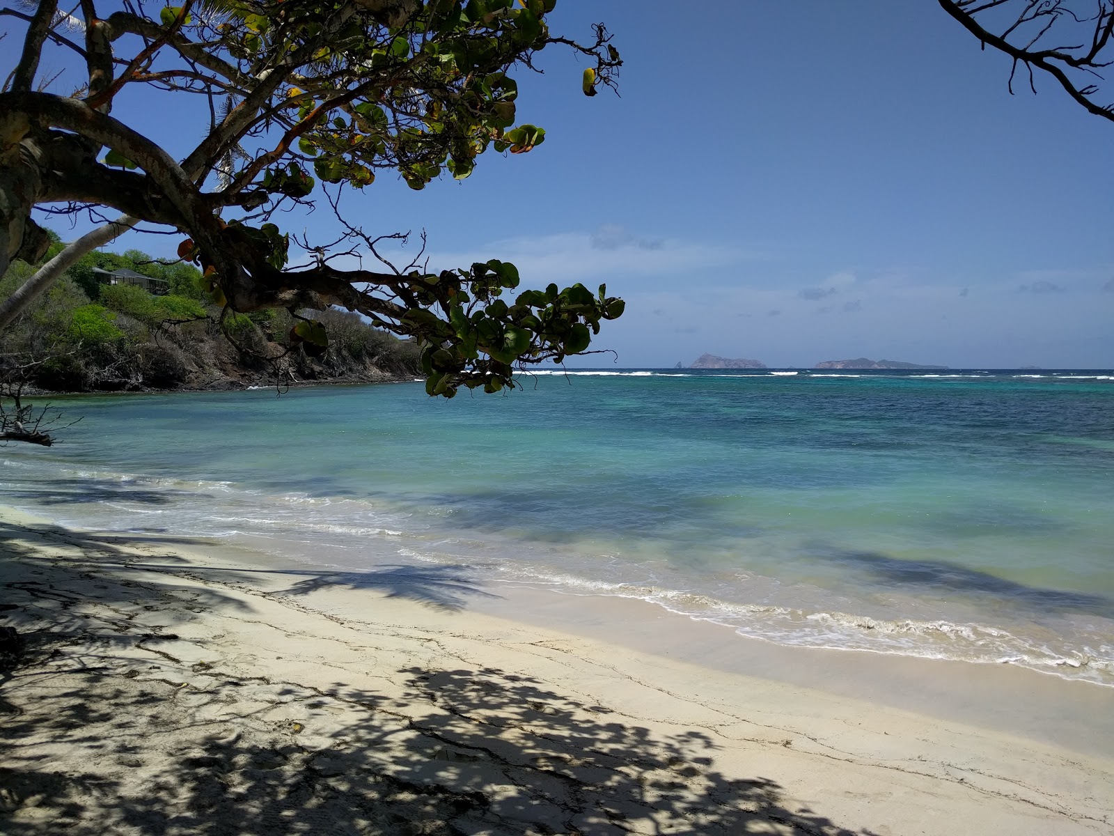 Foto de Sugar Reef beach con agua cristalina superficie