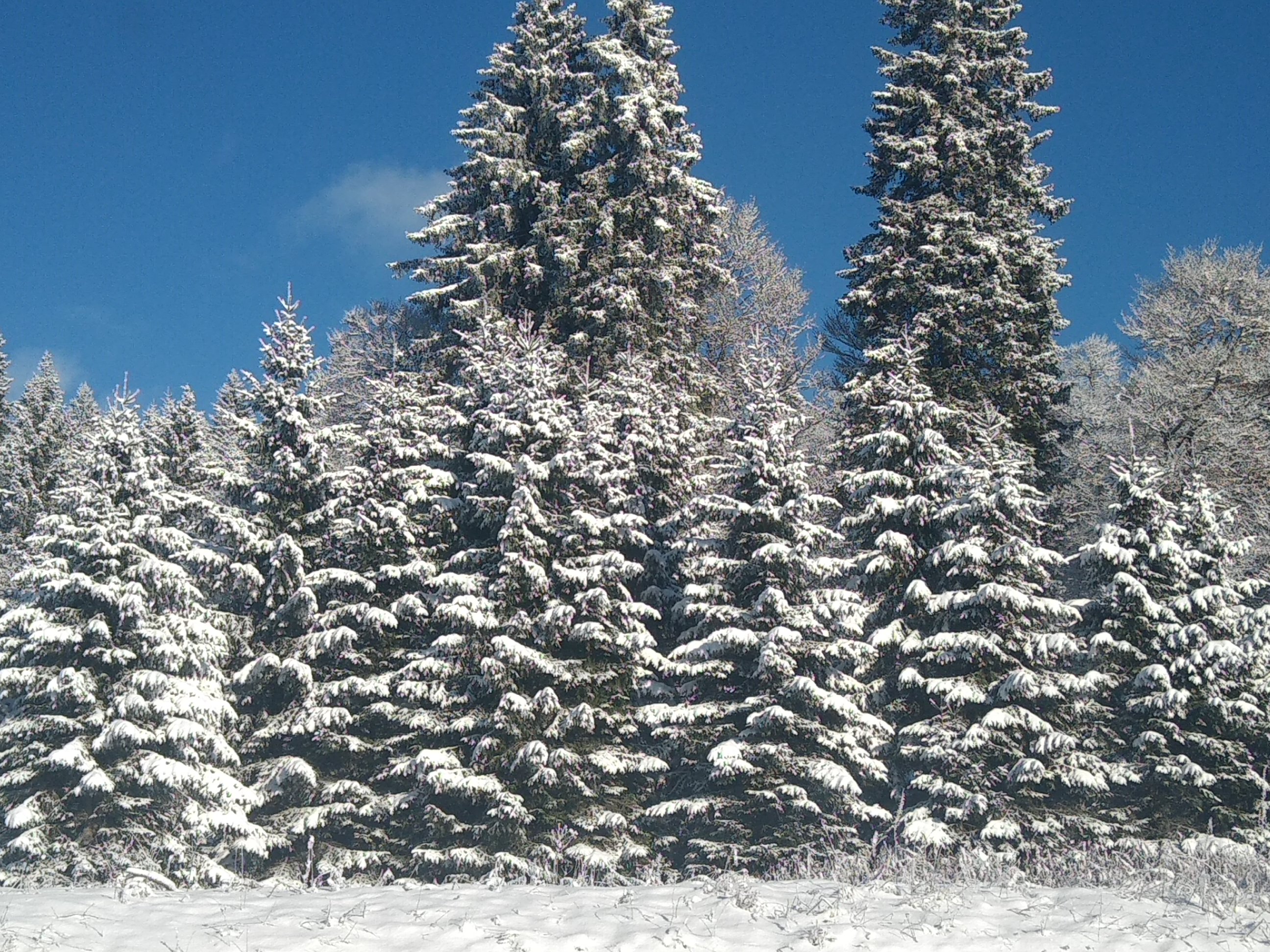 Photo n° 6 de l'avis de Gregoire.n fait le 19/12/2022 à 17:35