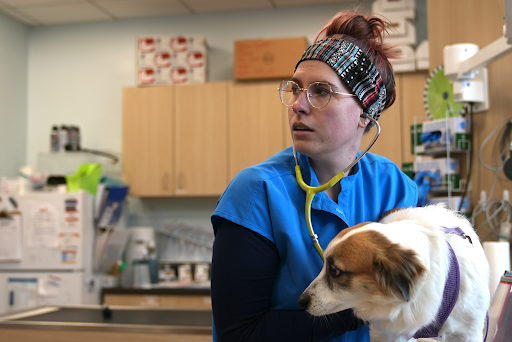 Veterinary Urgent Care Center - Saugus image