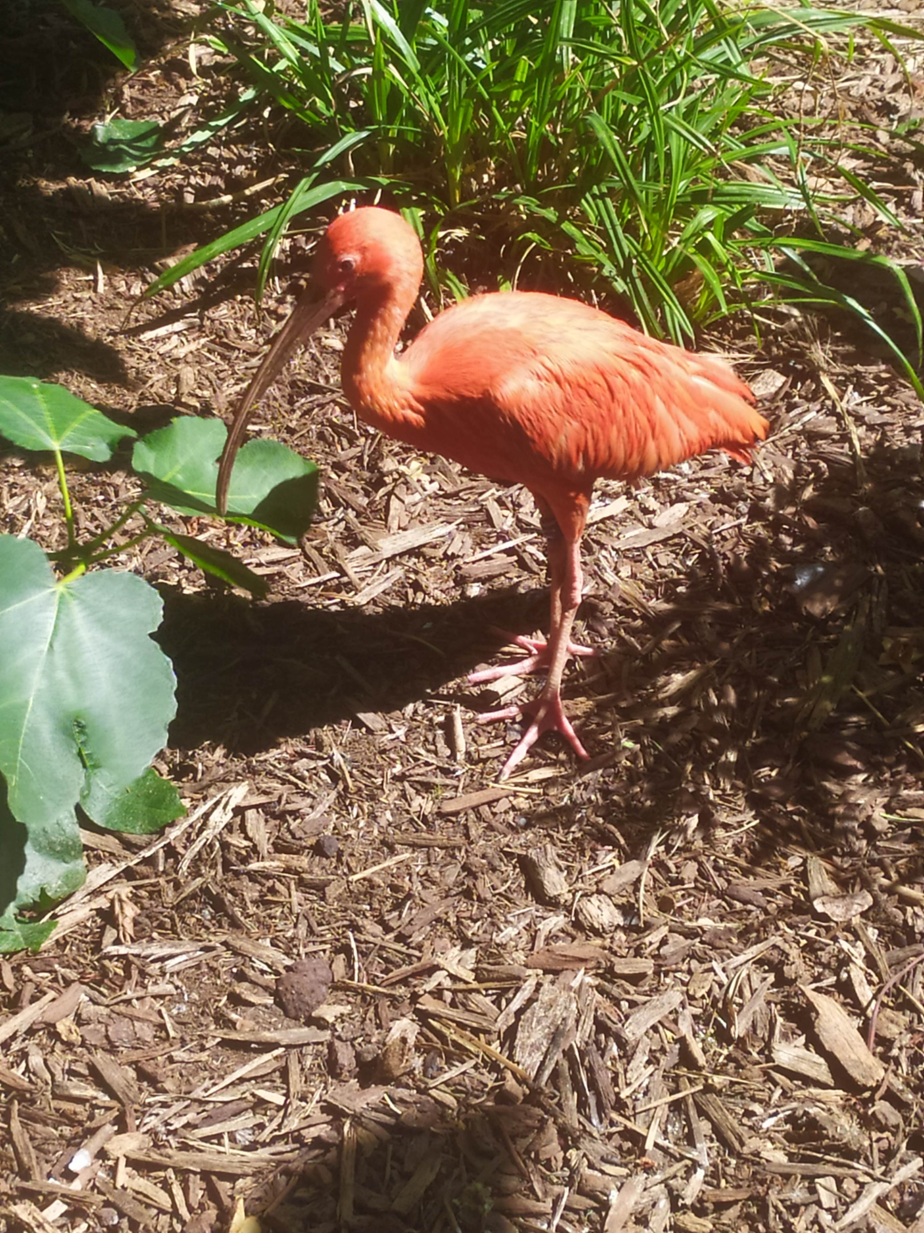 Photo n° 4 de l'avis de M.. fait le 11/08/2023 à 11:18