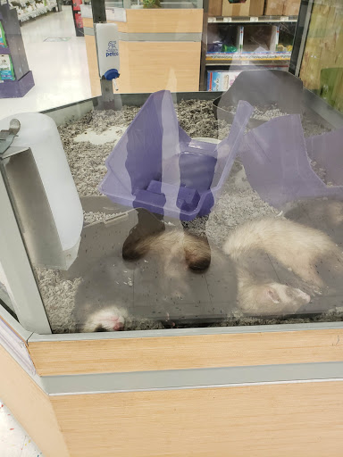 Pet Supply Store «Petco Animal Supplies», reviews and photos, 27111 167th Pl SE #113, Covington, WA 98042, USA