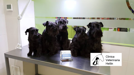 Clínica Veterinaria Hellín en Hellín