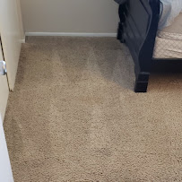 XLLNT Carpet Care