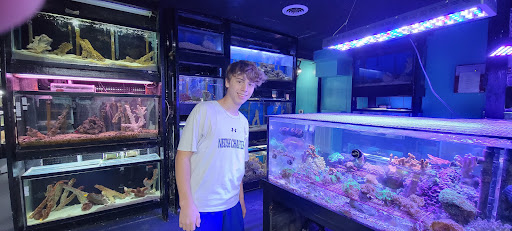 Aquarium Shop «Aquarium Outfitters Carolina», reviews and photos, 823 S Main St, Wake Forest, NC 27587, USA