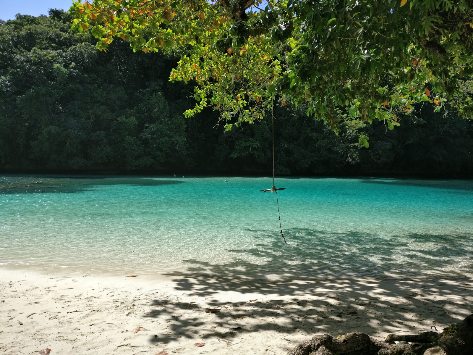 Foto di Ngchus Beach ubicato in zona naturale