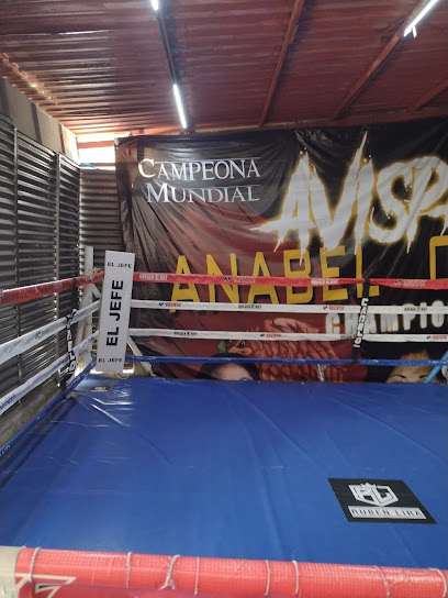 Gimnasio de box Rubén Lira - Porto Alegre 33, El Retoño, Iztapalapa, 09440 Ciudad de México, CDMX, Mexico