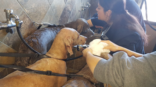 Pet Store «Pet Valu», reviews and photos, 134 S Ridge St, Rye Brook, NY 10573, USA