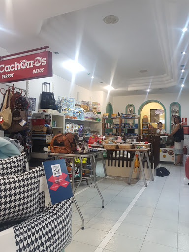 Cachorros. Peluqueria canina. Accesorios perros y gatos en Alicante