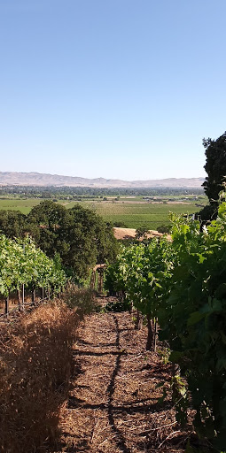 Winery «Wente Vineyards», reviews and photos, 5565 Tesla Rd, Livermore, CA 94550, USA