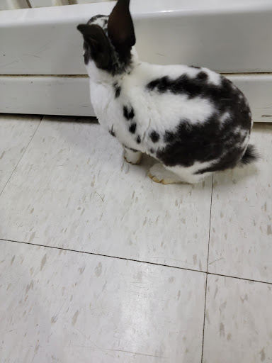 Pet Store «Pets Plus - Quakertown», reviews and photos, 117 S West End Blvd, Quakertown, PA 18951, USA