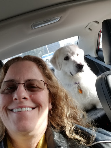 Pet Supply Store «Petco Animal Supplies», reviews and photos, 1311 E Army Post Rd, Des Moines, IA 50315, USA