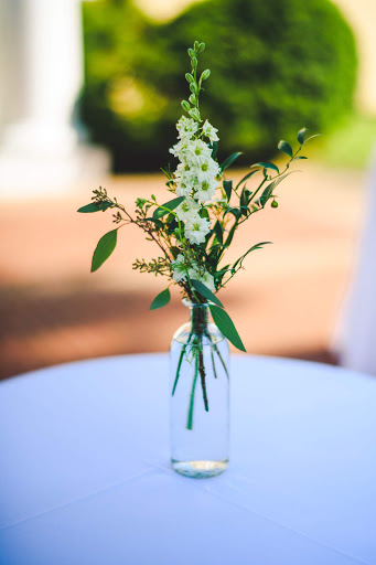 Florist «Belak Flowers», reviews and photos, 832 Philadelphia Pike, Wilmington, DE 19809, USA