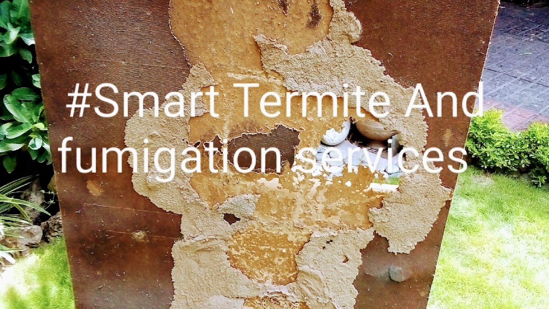 Smart termite And fumigation services