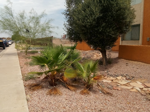 Park «Palomino Park», reviews and photos, 15815 N 30th St, Phoenix, AZ 85032, USA