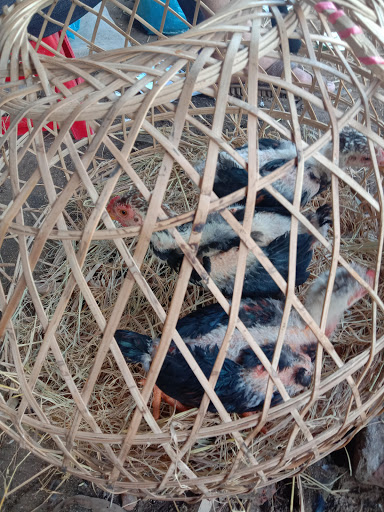 Top 20 cửa hàng benefit Huyện Ninh Giang Hải Dương 2022