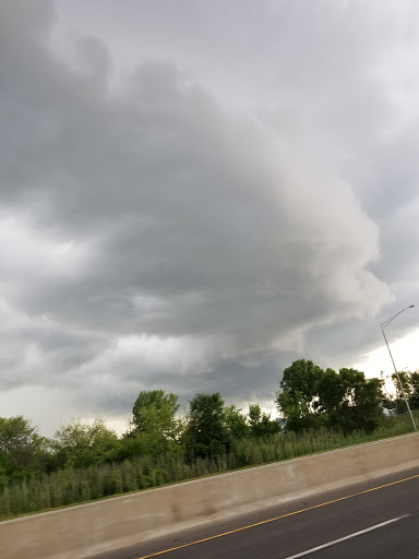 Hiking Area «Hammel Woods - Route 59 Access», reviews and photos, 554 Brook Forest Ave, Shorewood, IL 60404, USA