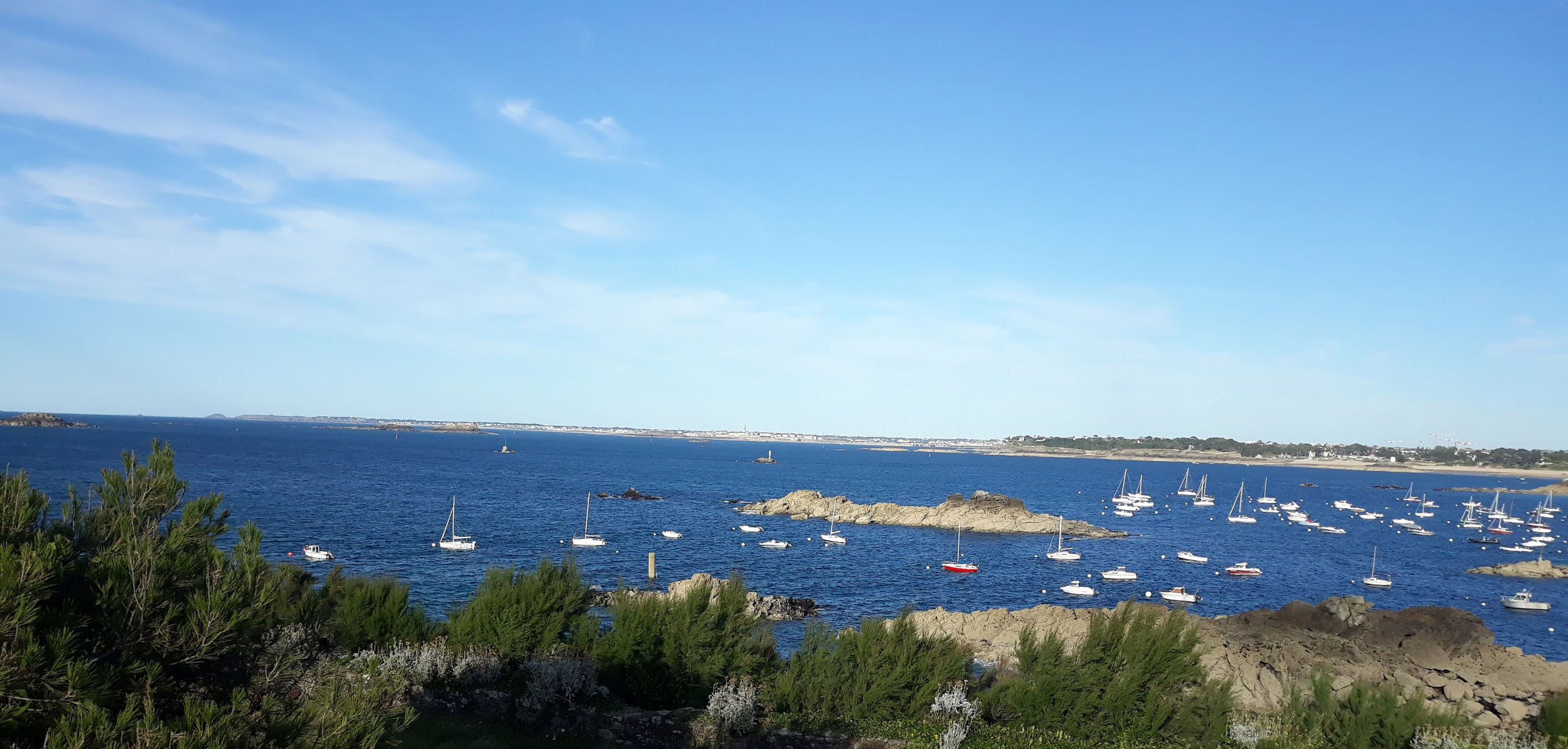Photo n° 1 de l'avis de Wolf.o fait le 12/07/2020 à 14:58