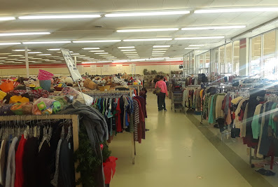The Thrift Store