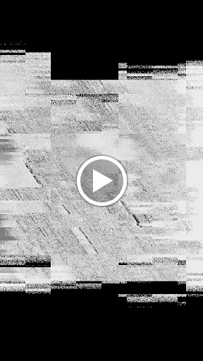 Explore duck tattoo ideas, creative tattoo ideas in Dayton, available at Anchorhead Tattoo