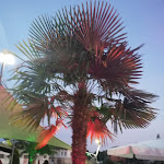 Photo n°1 de l'avis de Elisa.a fait le 27/05/2020 à 15:08 sur le  LOCO MOTION lounge bar & restorant à Cossato