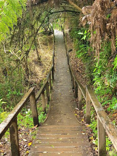 Cascadas de Tocoihue - Quemchi