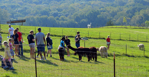 Boutique «Alpacas of the Heartland LLC», reviews and photos, 7016 County Rd 39, Fort Calhoun, NE 68023, USA