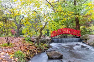 Cranbrook Japanese Gardens image