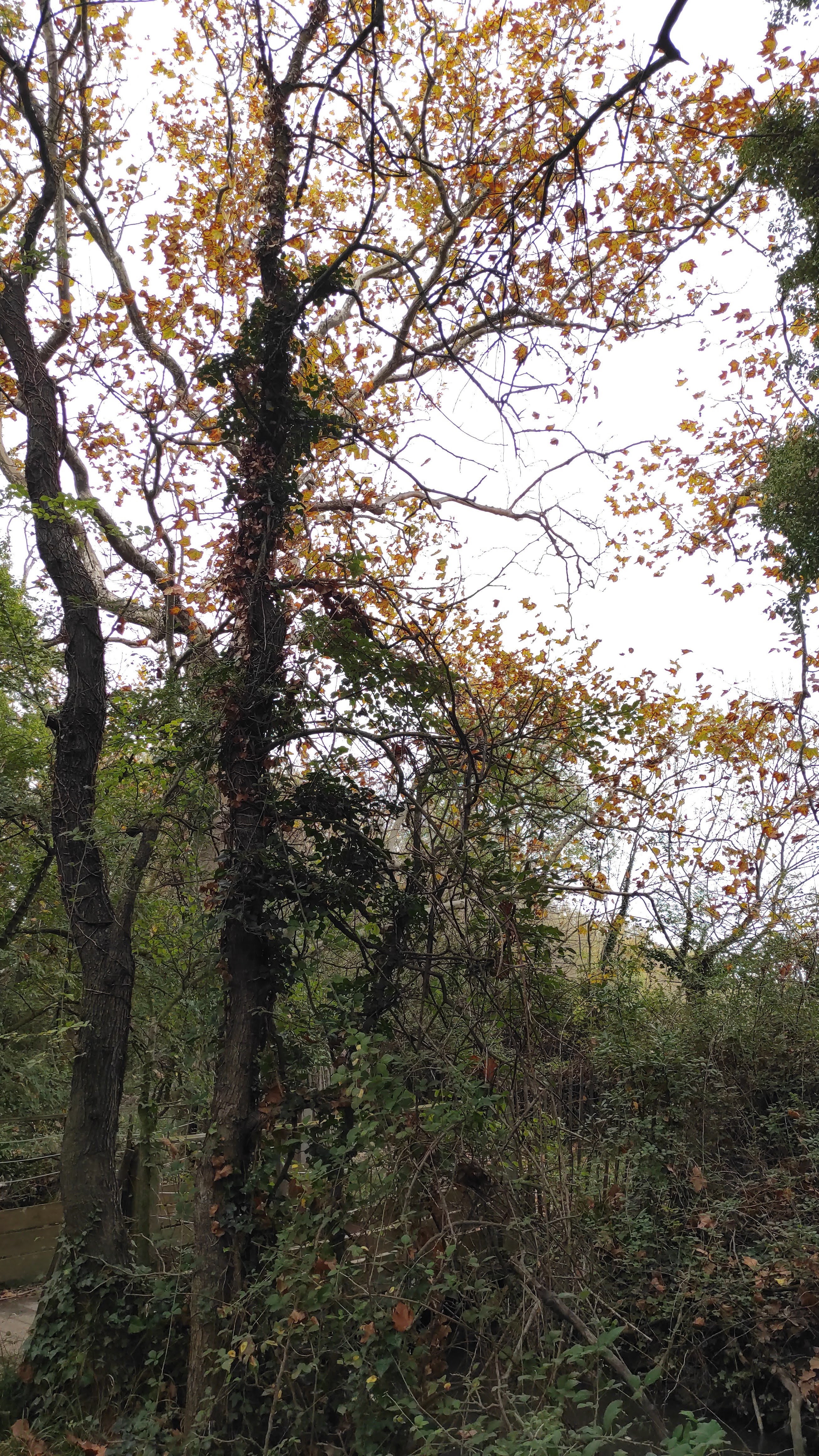 Photo n° 22 de l'avis de barbara.i fait le 31/10/2022 à 11:35
