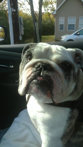 Park «Barcroft Park», reviews and photos, 4200 S Four Mile Run Dr, Arlington, VA 22206, USA