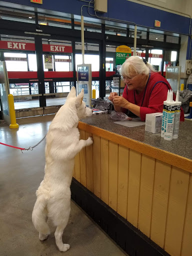 Lowe's Home Improvement