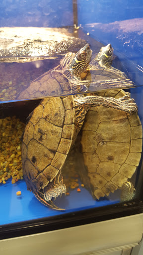 Pet Supply Store «PetSmart», reviews and photos, 475 Bank St, Waterbury, CT 06708, USA