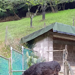 Photo n°10 de l'avis de Antonio.a fait le 18/08/2019 à 04:04 sur le  Ristorante/pizzeria All'Orto de' Pecci à Siena