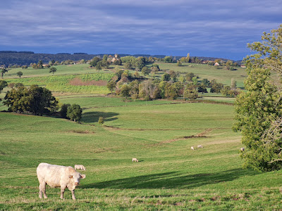 La Nièvre de Saint-Benin à Saint-Benin-des-Bois