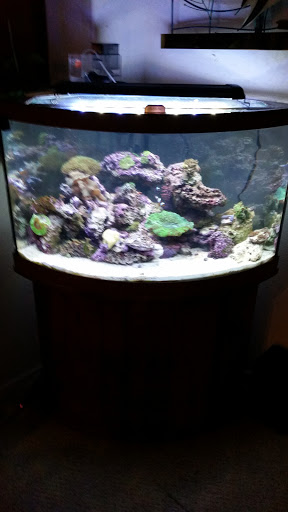 Pet Supply Store «Strictly REEF», reviews and photos, 907 W Moana Ln, Reno, NV 89509, USA