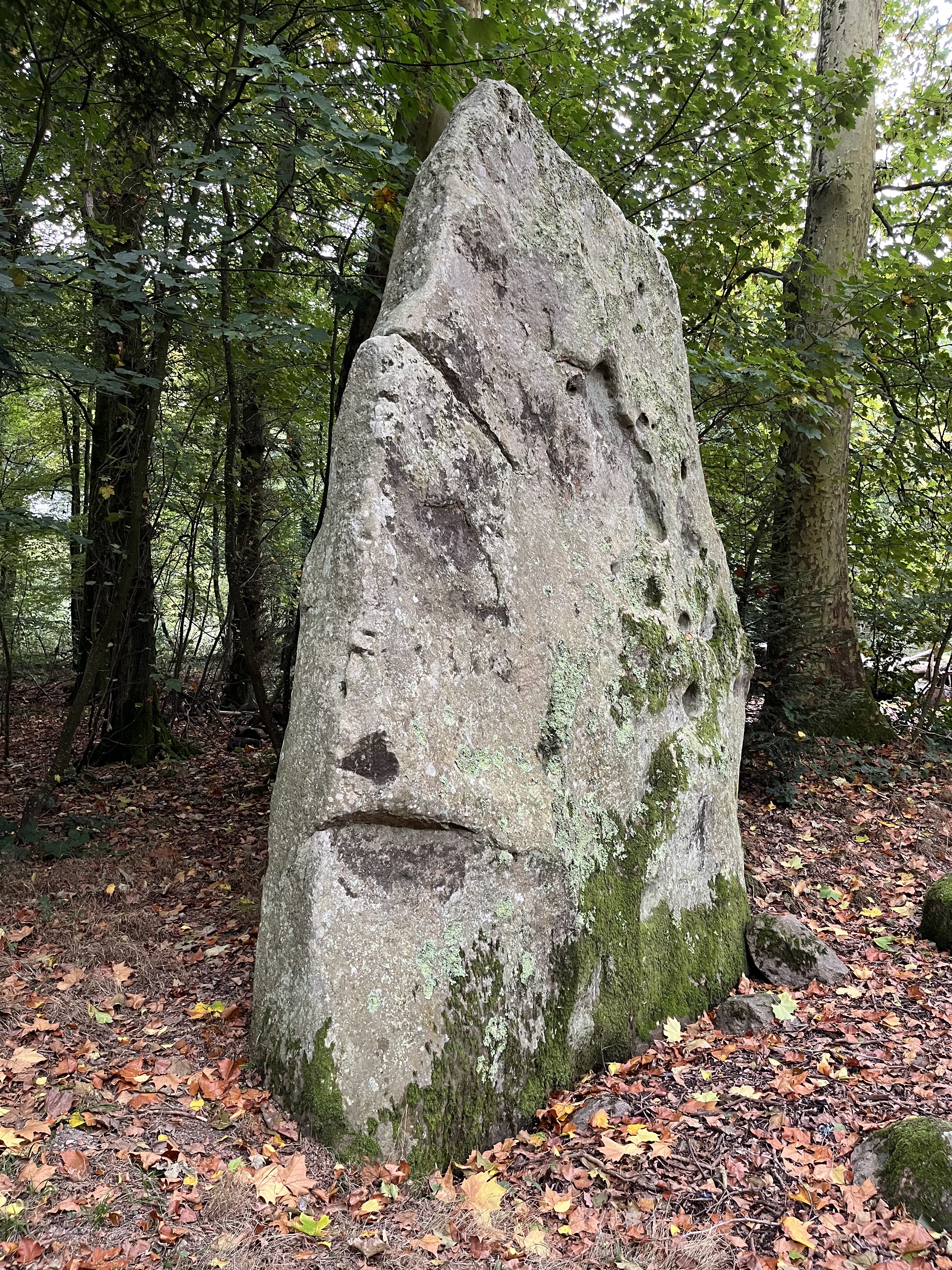 Photo n° 2 de l'avis de Chris. fait le 23/10/2021 à 18:59