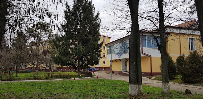 Primăria Municipiului Bacău - <nil>