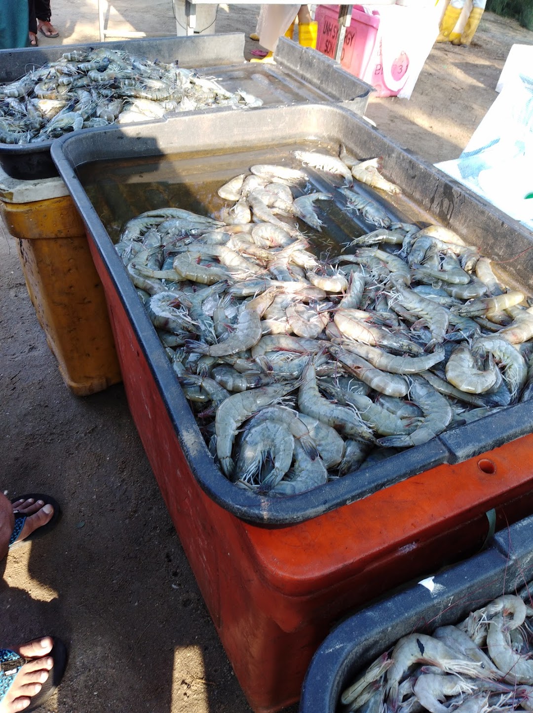 Pasar Ikan Bakar Batu