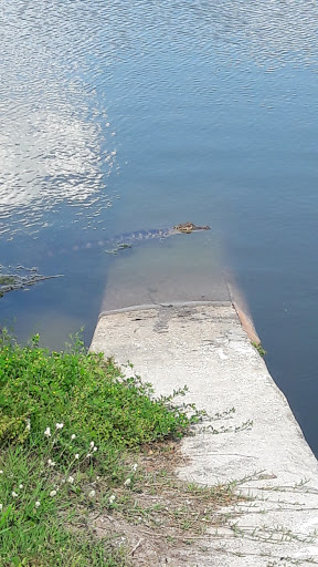 Park «Eagle Nest Park», reviews and photos, 5165 Metrowest Blvd, Orlando, FL 32811, USA