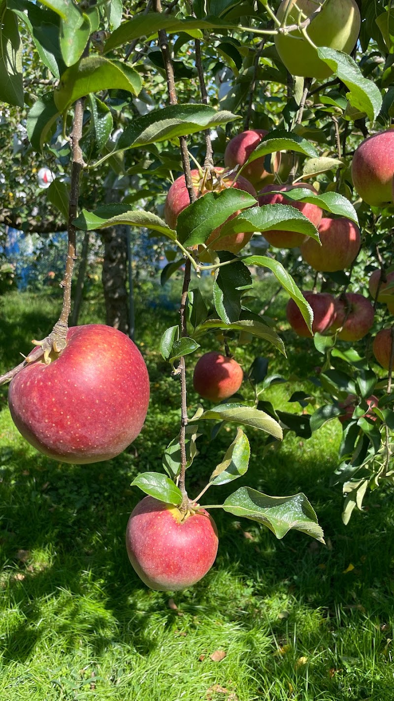 鹿島路りんご生産組合