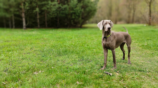 Opinii despre Fotograf Tomasz Pawlak Multiarte în Łódź - Fotograf