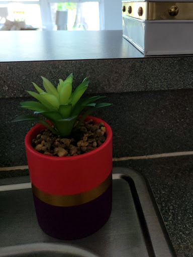 Dollar Store «FAMILY DOLLAR», reviews and photos, 8088 Old Kings Rd S, Jacksonville, FL 32217, USA