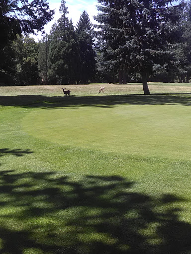 Golf Course «Fort Steilacoom Golf Course», reviews and photos, 8202 87th Ave SW, Lakewood, WA 98499, USA
