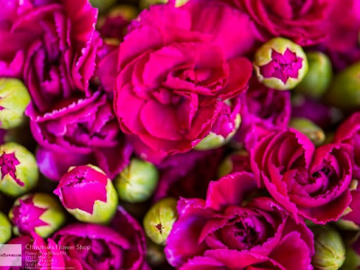 Florist «OSUFLOWERS .COM», reviews and photos, 2733 E Main St, Columbus, OH 43209, USA