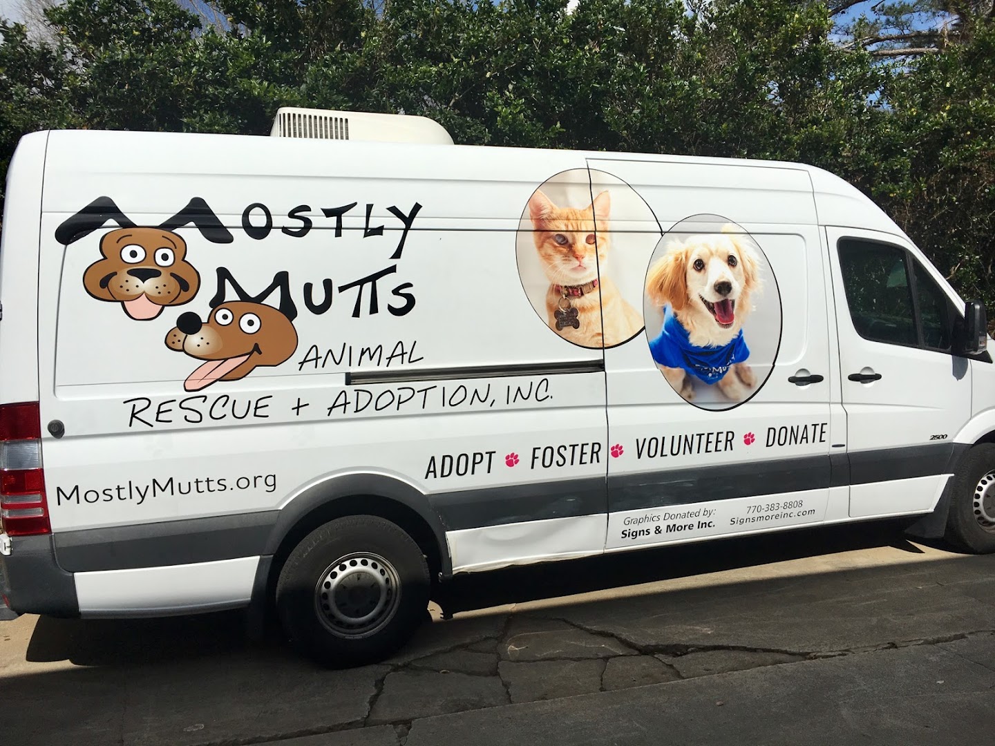 Mostly Mutts Animal Rescue and Adoption