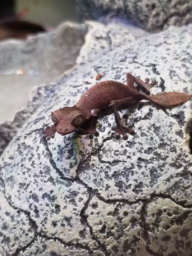 Pet Store «Paws Natural Pet Emporium», reviews and photos, 8551 W Gage Blvd, Kennewick, WA 99336, USA