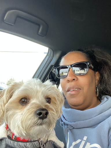 Pet Store «Animal House», reviews and photos, 7869 Hamilton Ave, Cincinnati, OH 45231, USA